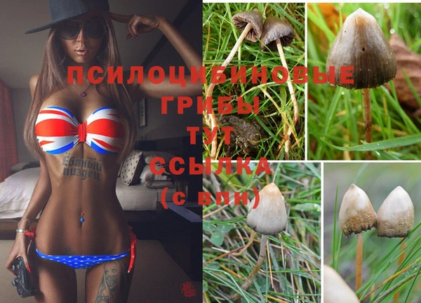 амф Струнино