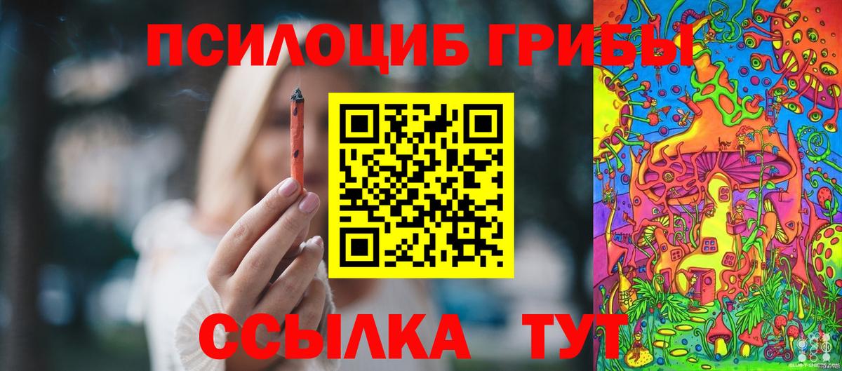 Галлюциногенные грибы мицелий Вязники