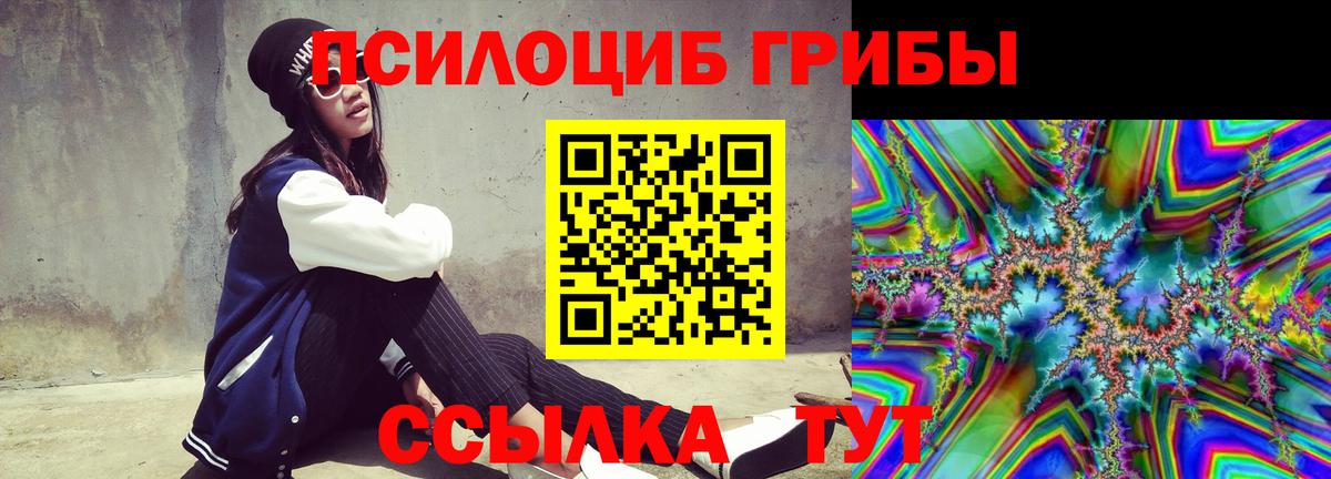 Вязники  Псилоцибиновые грибы MAGIC MUSHROOMS  Вход с VPN 